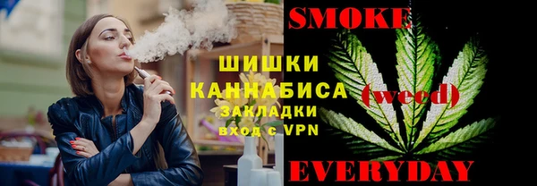 сатива Балахна