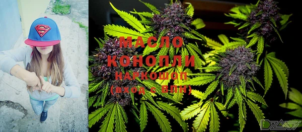 сатива Балахна