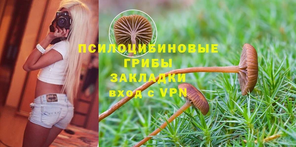 шишки Балабаново
