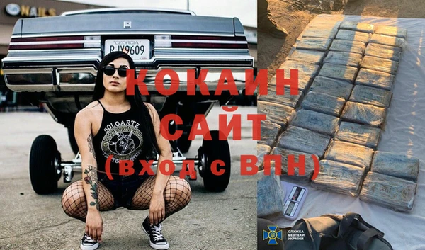 шишки Балабаново