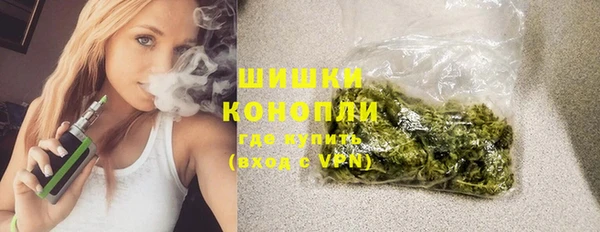 сатива Балахна