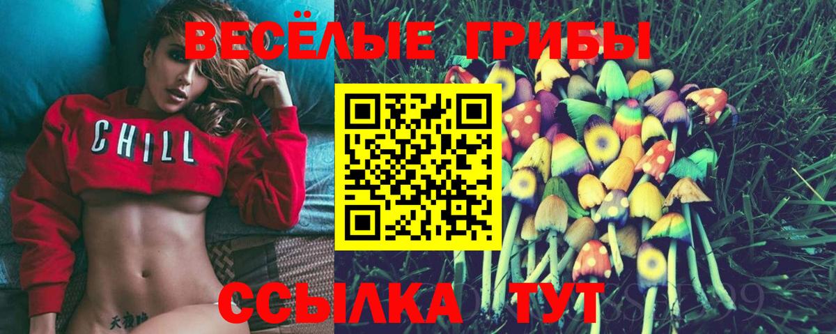 купить наркотики сайты  Псилоцибиновые грибы ЛСД  Вход с VPN  Барабинск 
